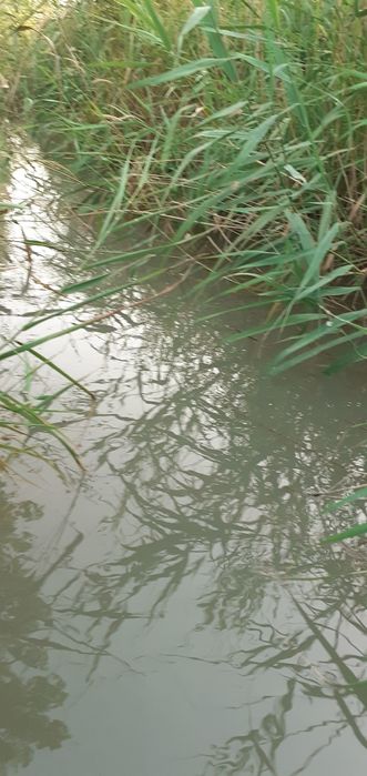 Учаска  ва уи сотилади