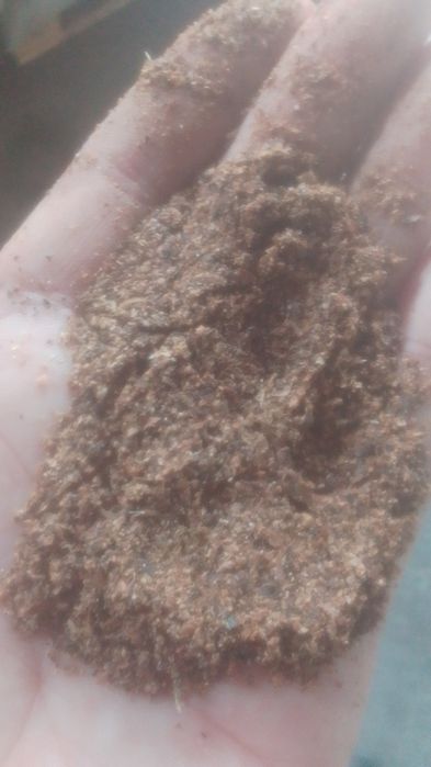 Отруби Овёс полова Зерноотходы колосок