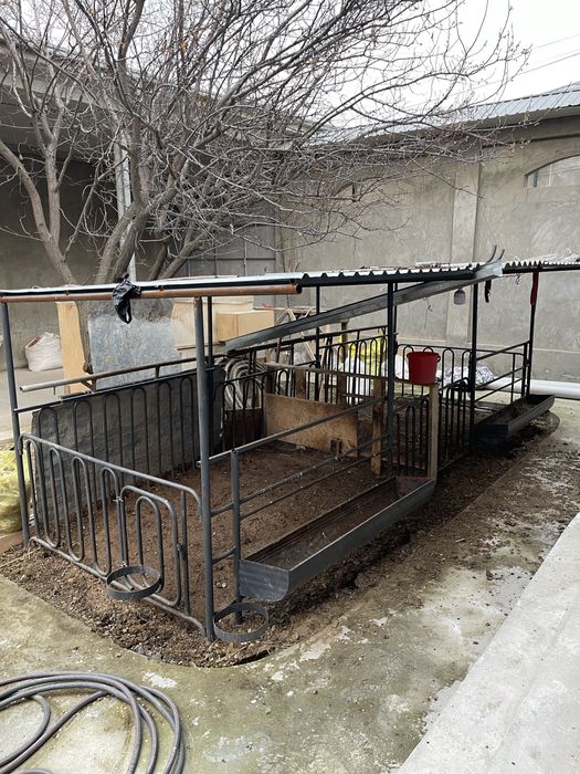 Qoyxona sotiladi 10 ta qoy bemalol sig’adi