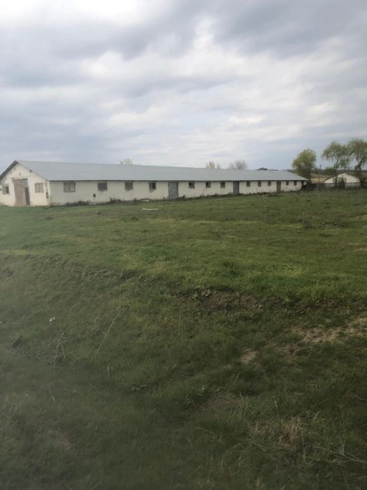 Hala de vanzare Slobozia Conachi