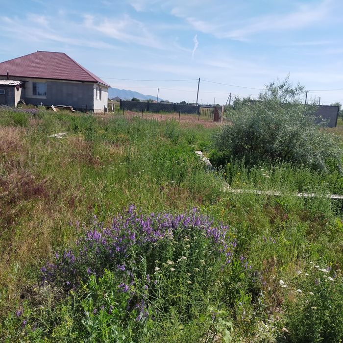 Участок п. Ынтымақ
