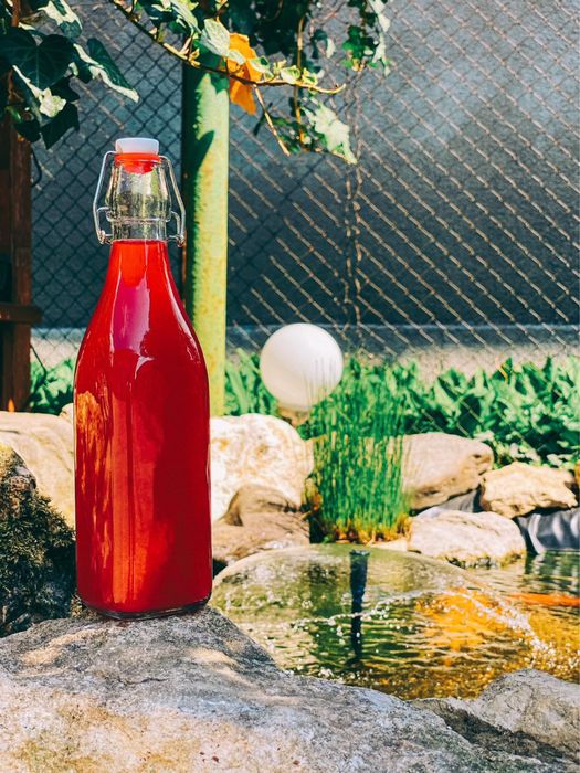 Kombucha ceai fermentat