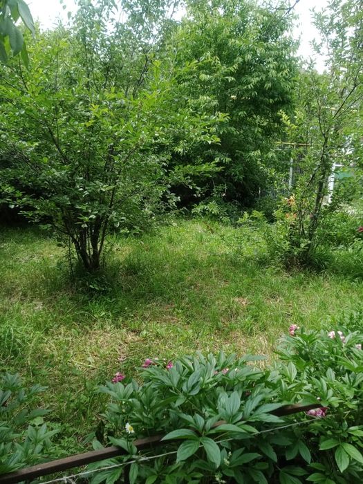 Продается дом в тургене