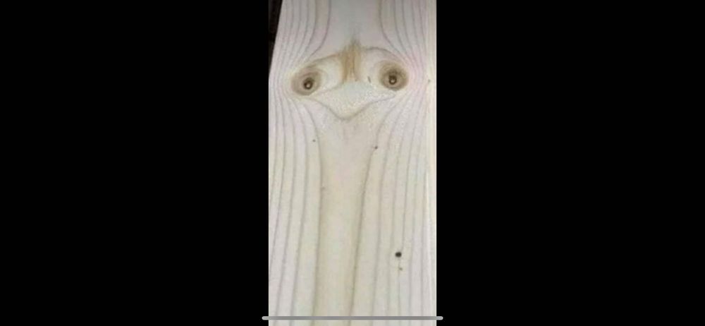 Vand scandura cu aspect de struț