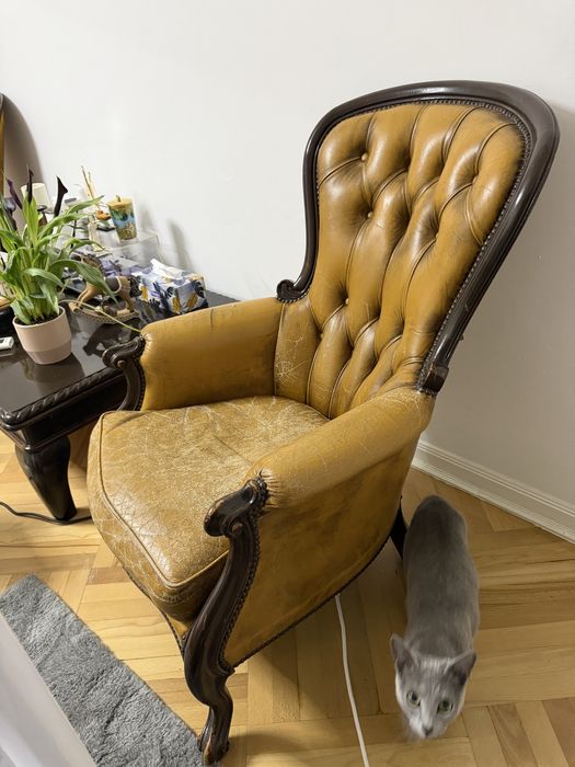 2 Fotolii Chesterfield originale - peste 100 ani - raritate - 3500 ron