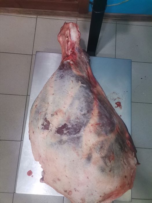 Мясо оптом!!!доставка