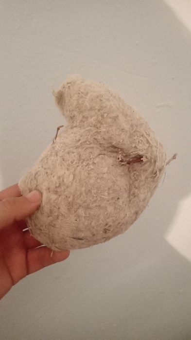 Құрқылтайдын ұясы Гнездо ремеза