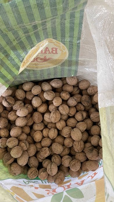 Орехи греческие 1 мешок