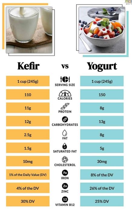 Ciuperca chefir, bacterie probiotica kefir