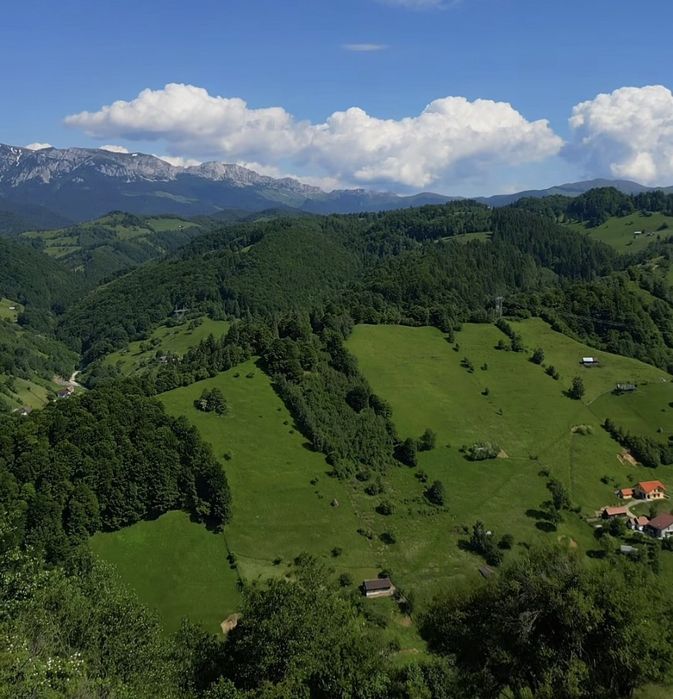 Teren 450 mp Moeciu de Jos, Drumul Carului