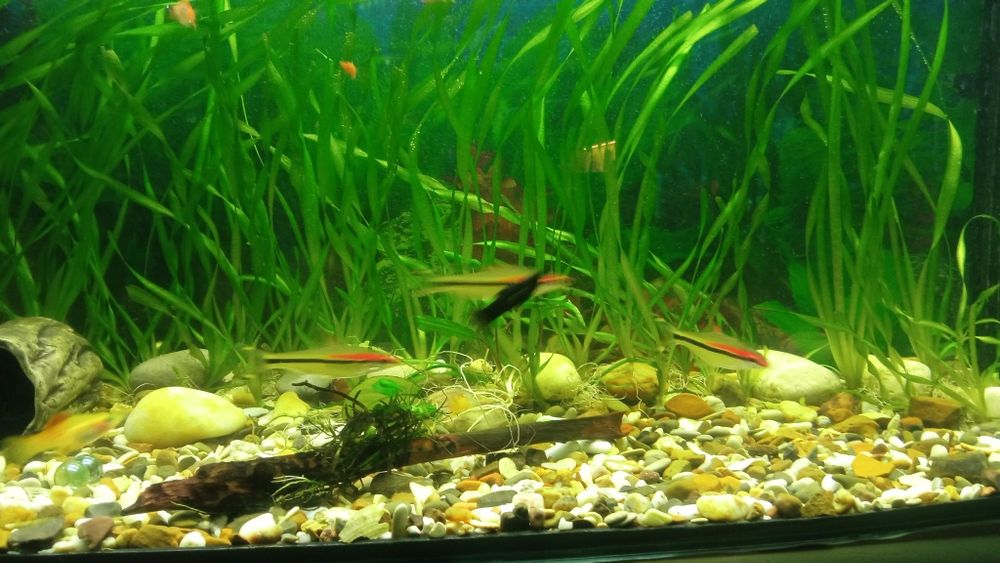 Продам аквариум 105 литров