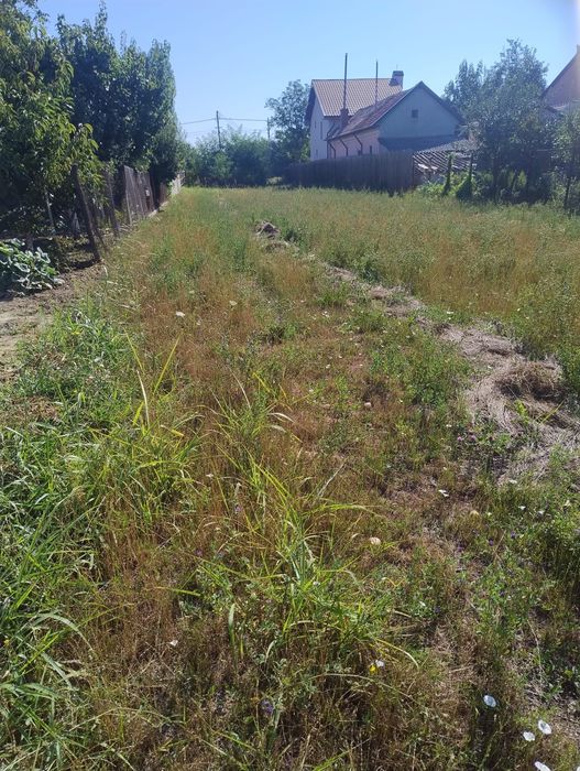 TEREN INTRAVILAN 2.800 MP, Stradal, la 5 minute de Slatina, liber