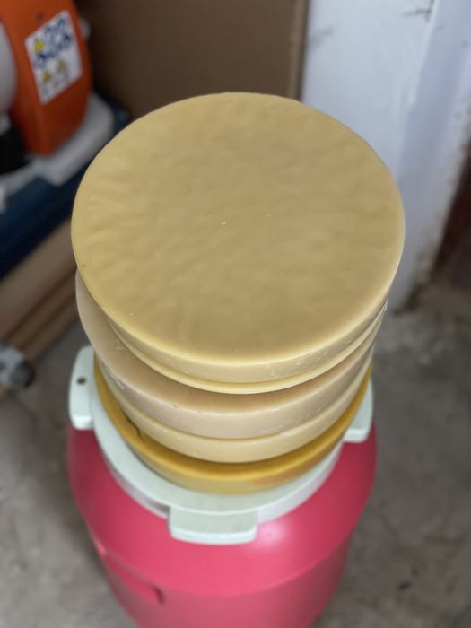 Ceara albine , stupi