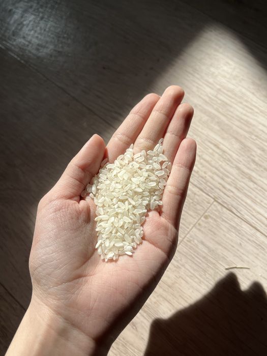 Күріш/25кг/Сорт “Лидер”/