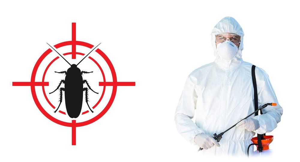 Дизинфекция дезинсекция дератизация От клопов, тараканов, мышей, мураш