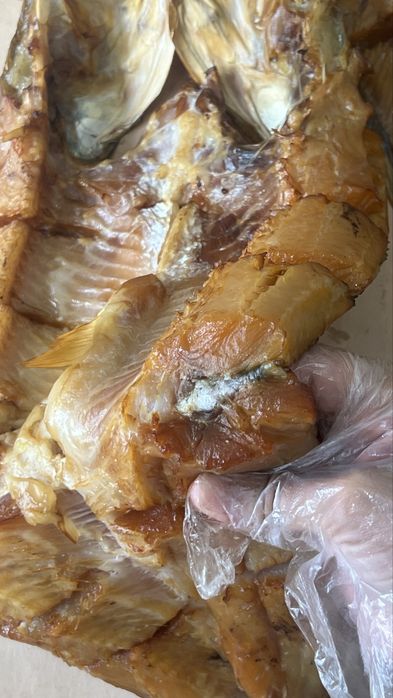 Жерех,сом, толстолоб