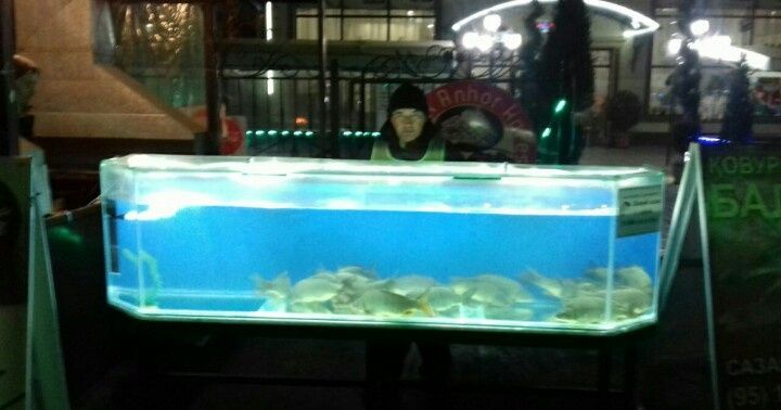 Изготовление и ремонт аквариума продажа рыб обслуживание и другие усл