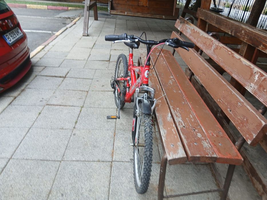 Bicicletă     DHS