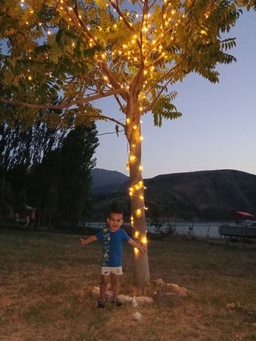 Tapchan chorvoq suv buyida.