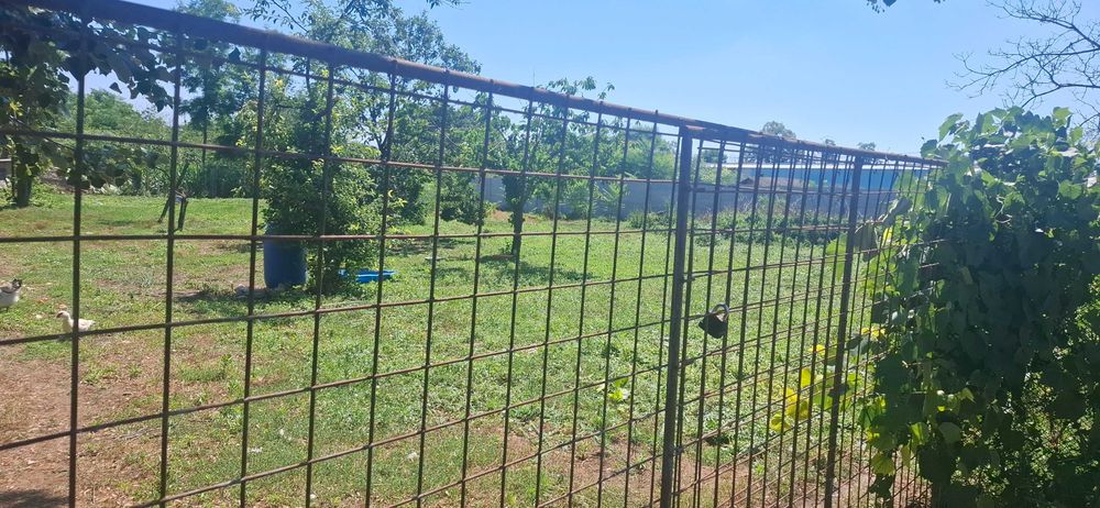 Vand casa in Comuna Ciocanesti, jud Calarasi
