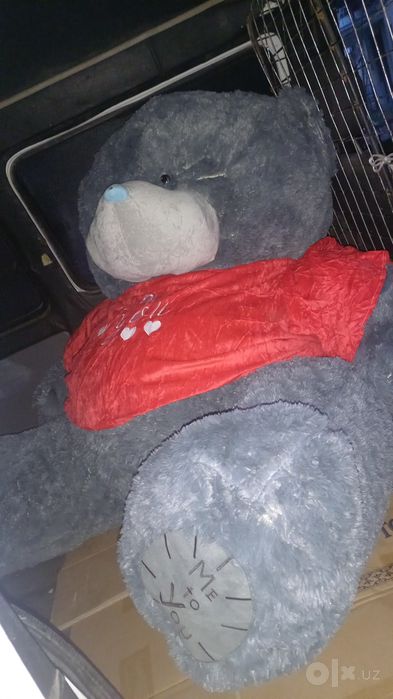 Teddy 1yarim metirlisi