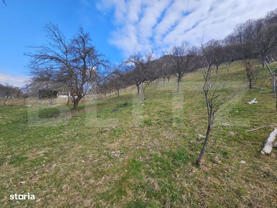 Teren intravilan generos de 4000 mp, cu priveliste montana, Cugir