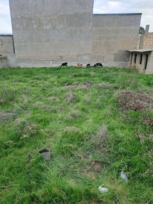 Продаю 6 соток, махалля "Ункургон", ориентир " Тутзор" мах.