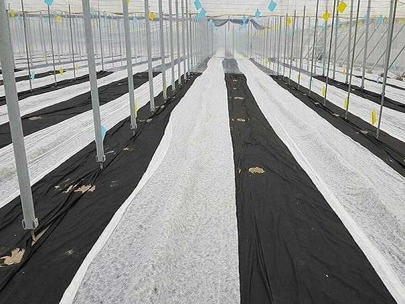 Промоция на Агрил от  17g/m² до 23g/m² ГОЛЕМИ РАЗМЕРИ