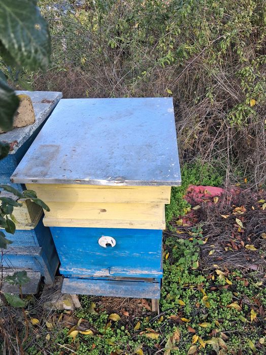 Оборудване за пчели