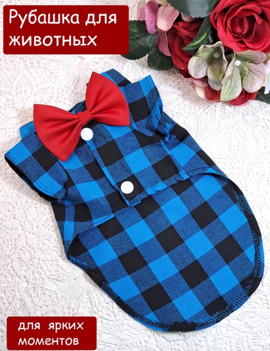 рубашка для собак