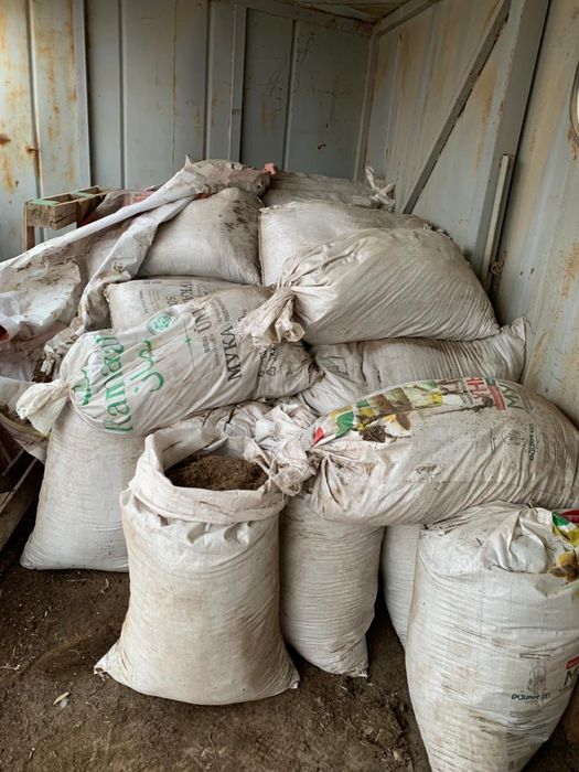 Конский перегной навоз