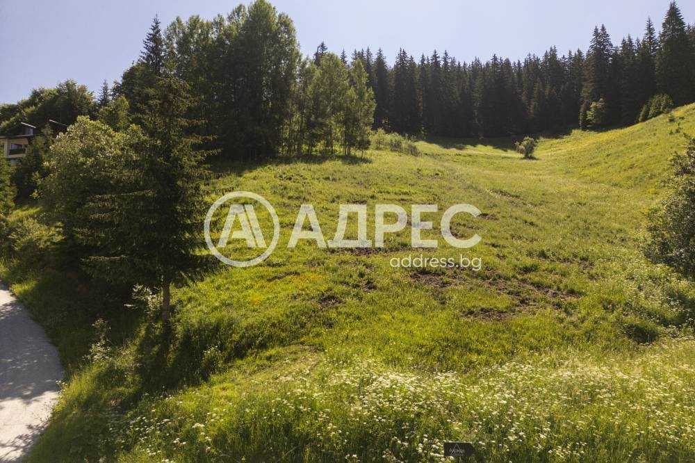 Продава се Парцел в с. Проглед, Област Смолян - 1325 кв.м за 48 €/кв.м - Снимка #4