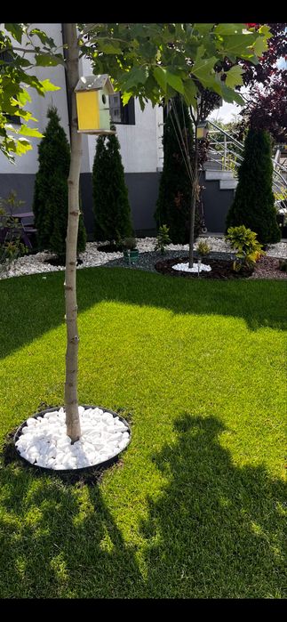 Tundere gazon ,Intretinere spatii verzi