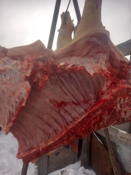 Мясо свинина 2000 за кг.