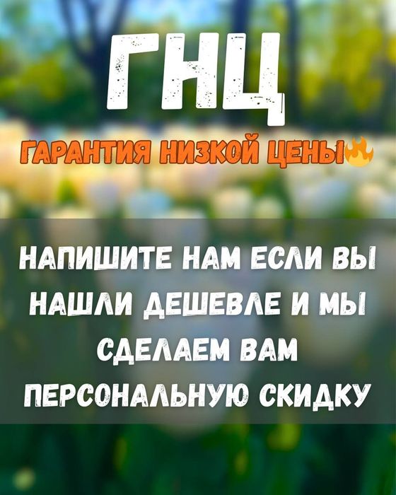 Тюльпаны оптом по лучшим ценам