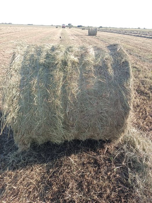 продам сено в рулонах