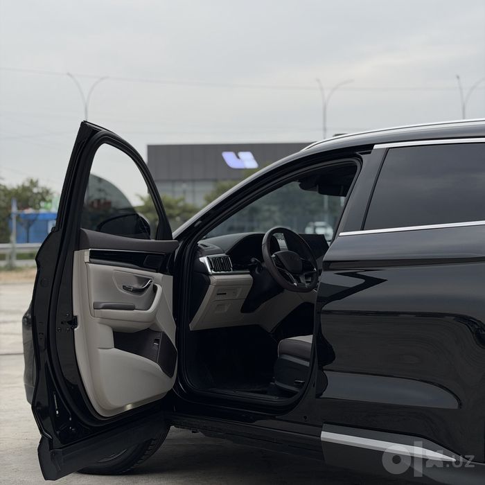 Byd champion restyling