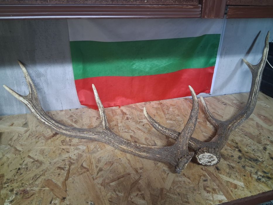 Продават се  2 броя