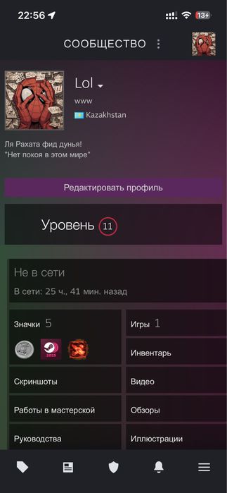 Продам аккаунт Стим, есть Прайм Статус в CS2