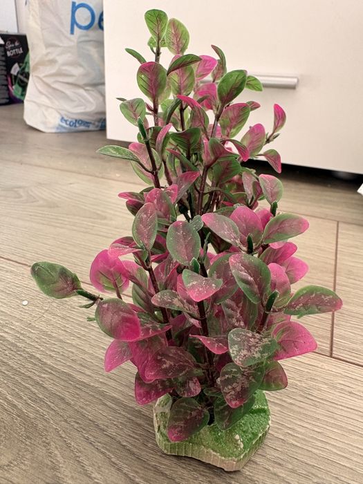 decor pentru acvariu