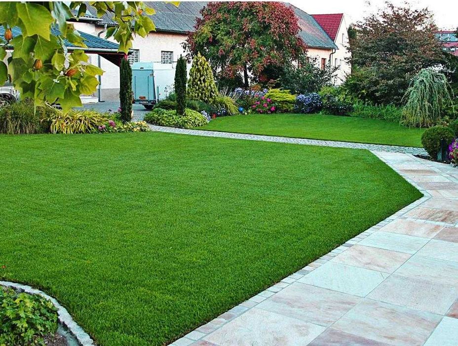 Gazon Rulou Natural Livrare Gratuita in DJ, OT, MH, GJ Craiova • OLX.ro