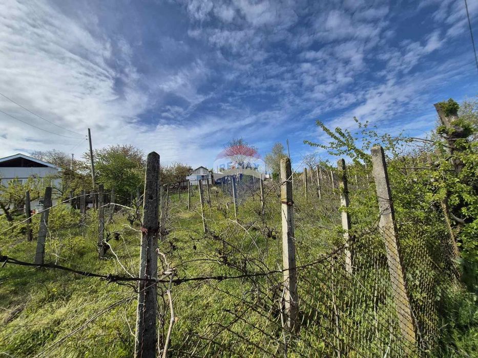 Продава се Парцел в с. Доброглед, Област Варна - 826 кв.м за 46 €/кв.м - Снимка #1