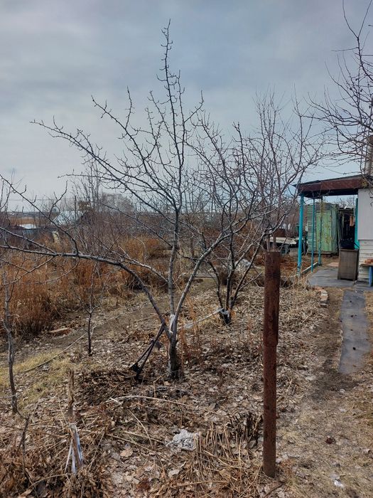 Продам дачу 1 общество