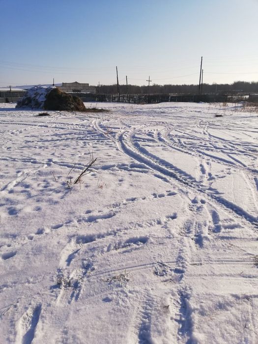 Продам фермерское хозяйство.