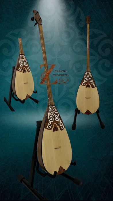 Домбыра кәсіби және әуесқой