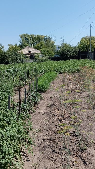 Продам или обменяю