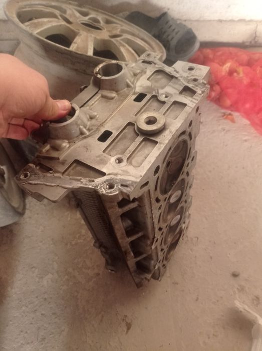 Кобылт родной галопкыс 2014 жыл жагдай жаксы