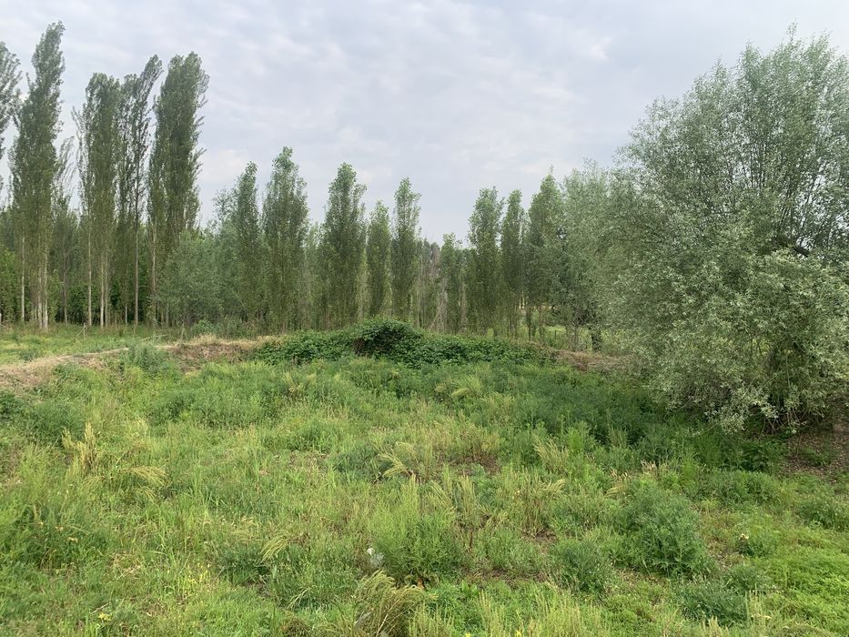 Uchastka sotiladi quruq yeri uzi bog kol dalalar bor