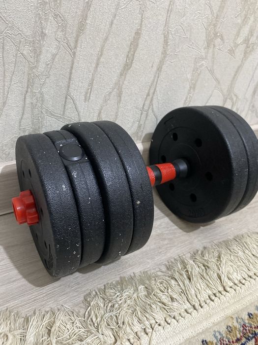 Гантель 20кг-дык