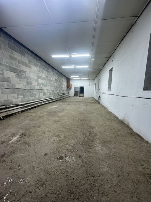 Сдается в аренду